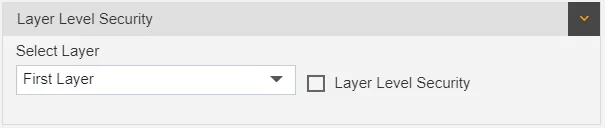 Layer Level Security | AIV