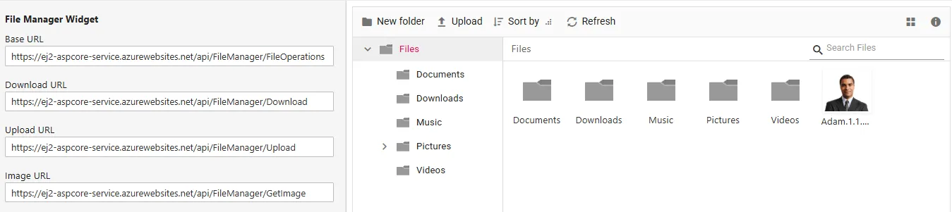 file manager